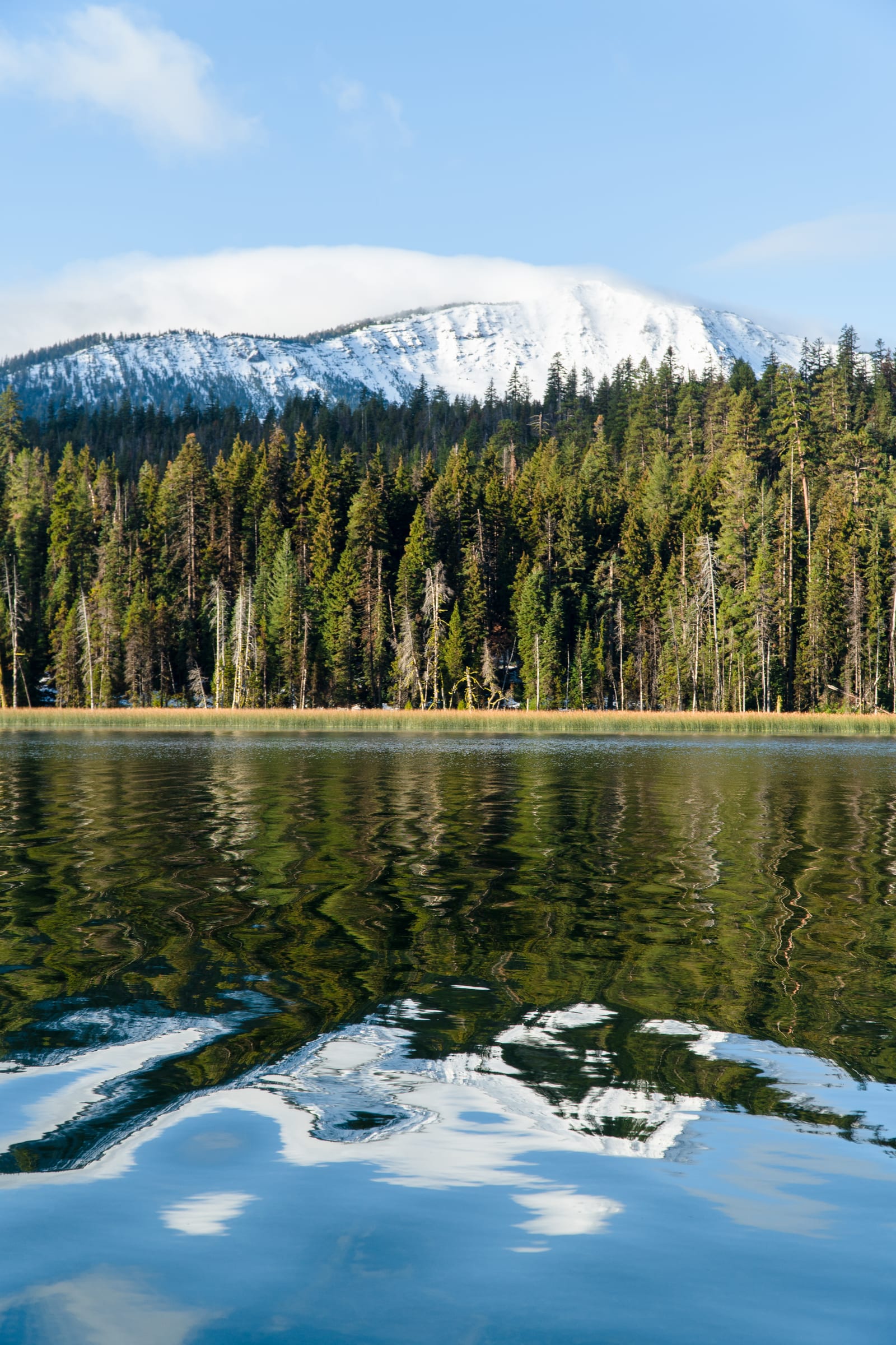 Snow-covered Mount Bailey above the firs on the shore of Diamond Lake in October, reflected in the still water