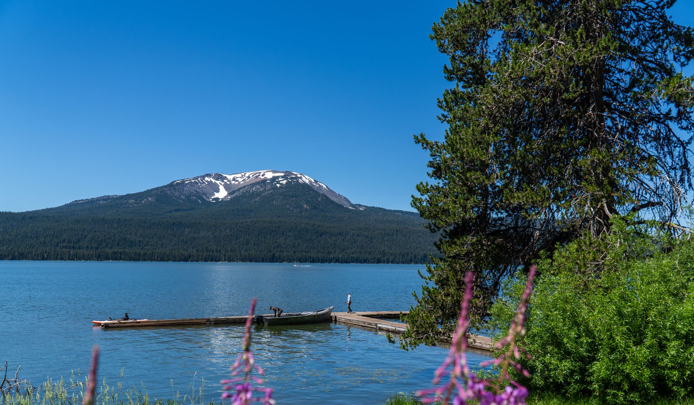 Mount Bailey above Diamond Lake in July, a boat dock on the water and fireweed in front
