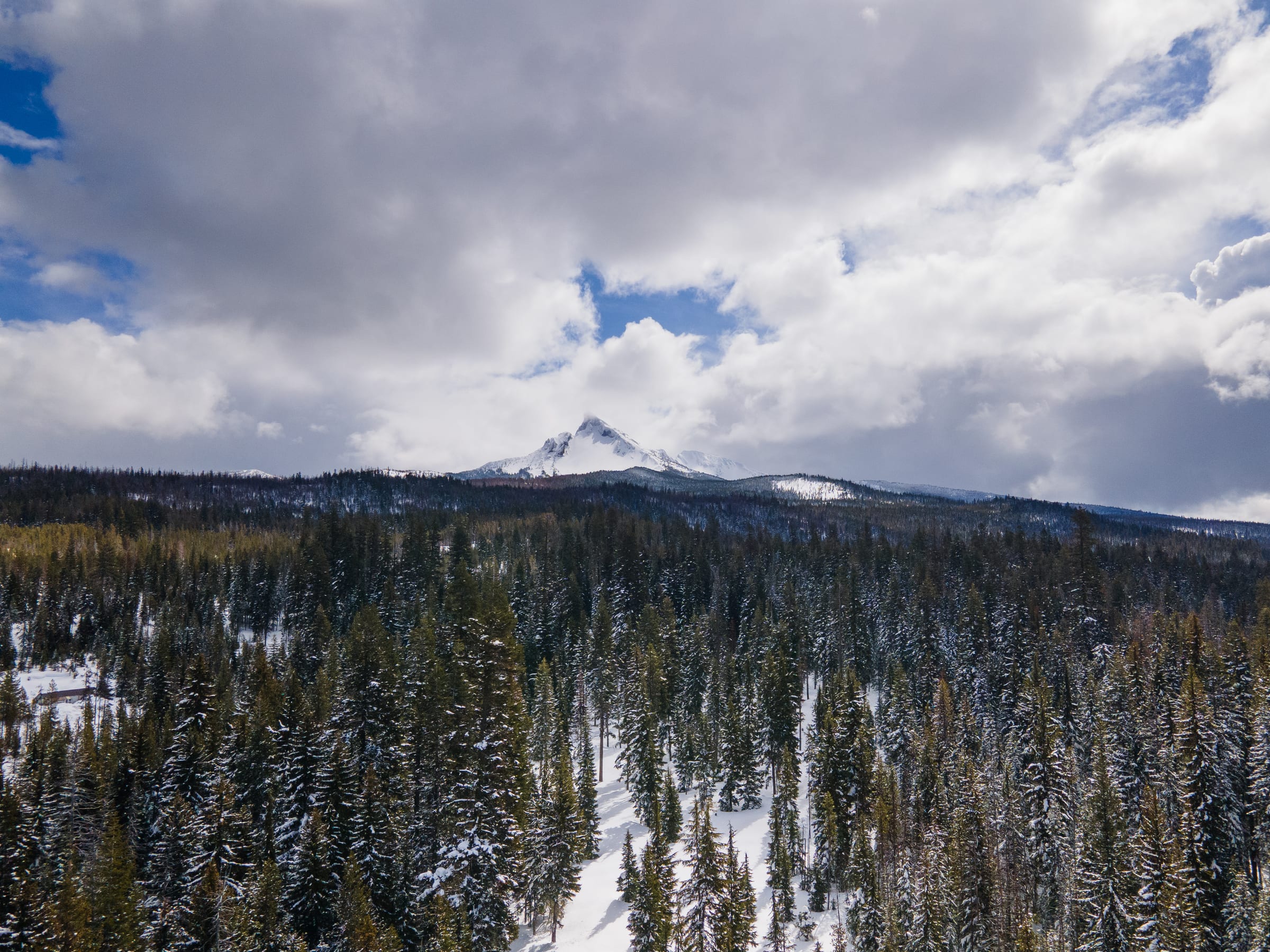 Snow among dense firs at Diamond Lake in March, a white peak on the horizon under big clouds
