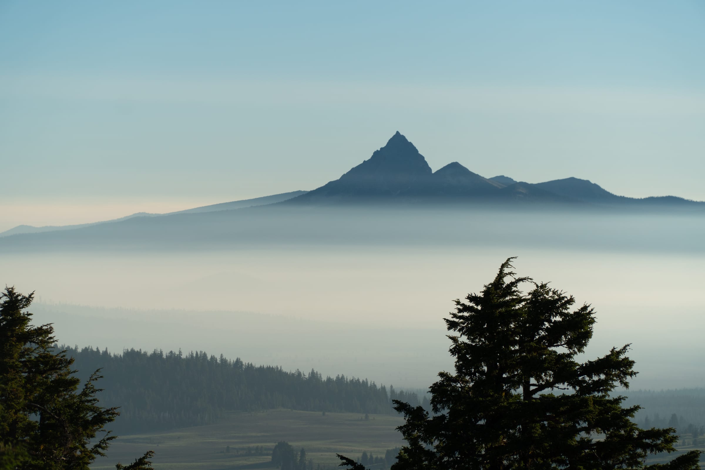The sharp peak of Mount Thielsen rising above a layer of July morning haze, a fir in the foreground