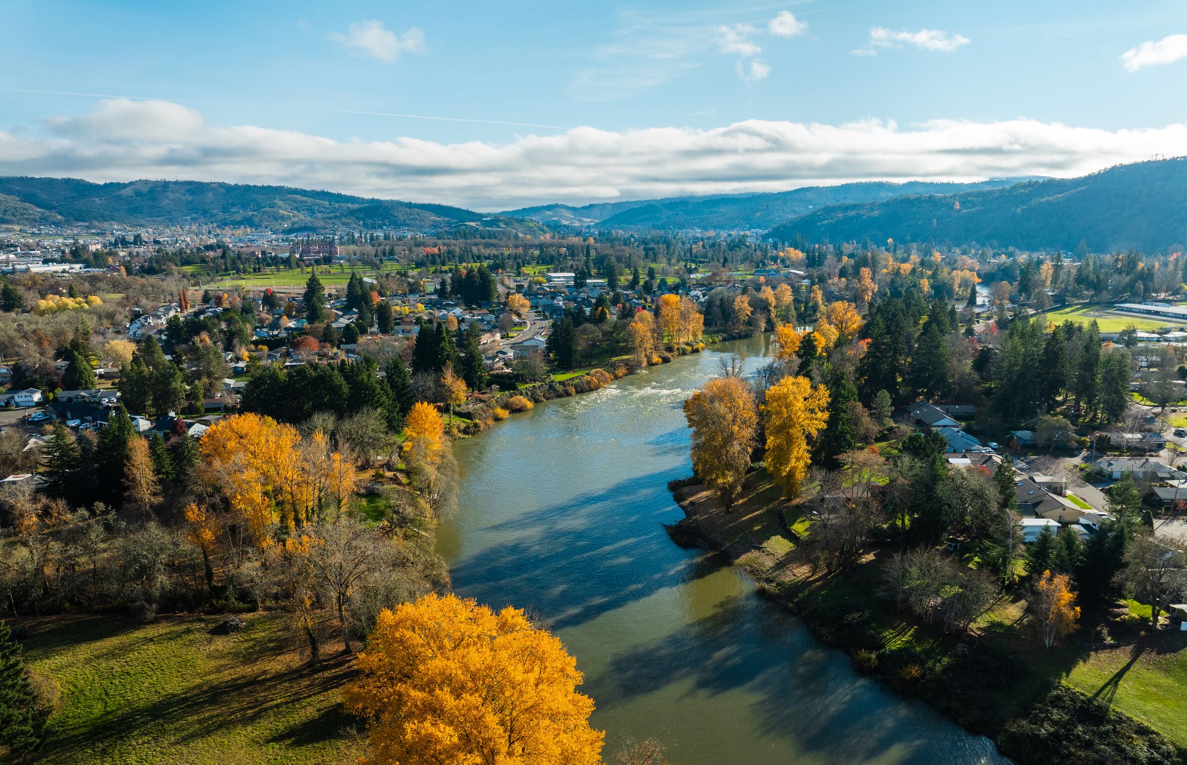 Yellow November trees along a bend of the South Umpqua River in Roseburg, seen from the air, green lawns and houses on both banks