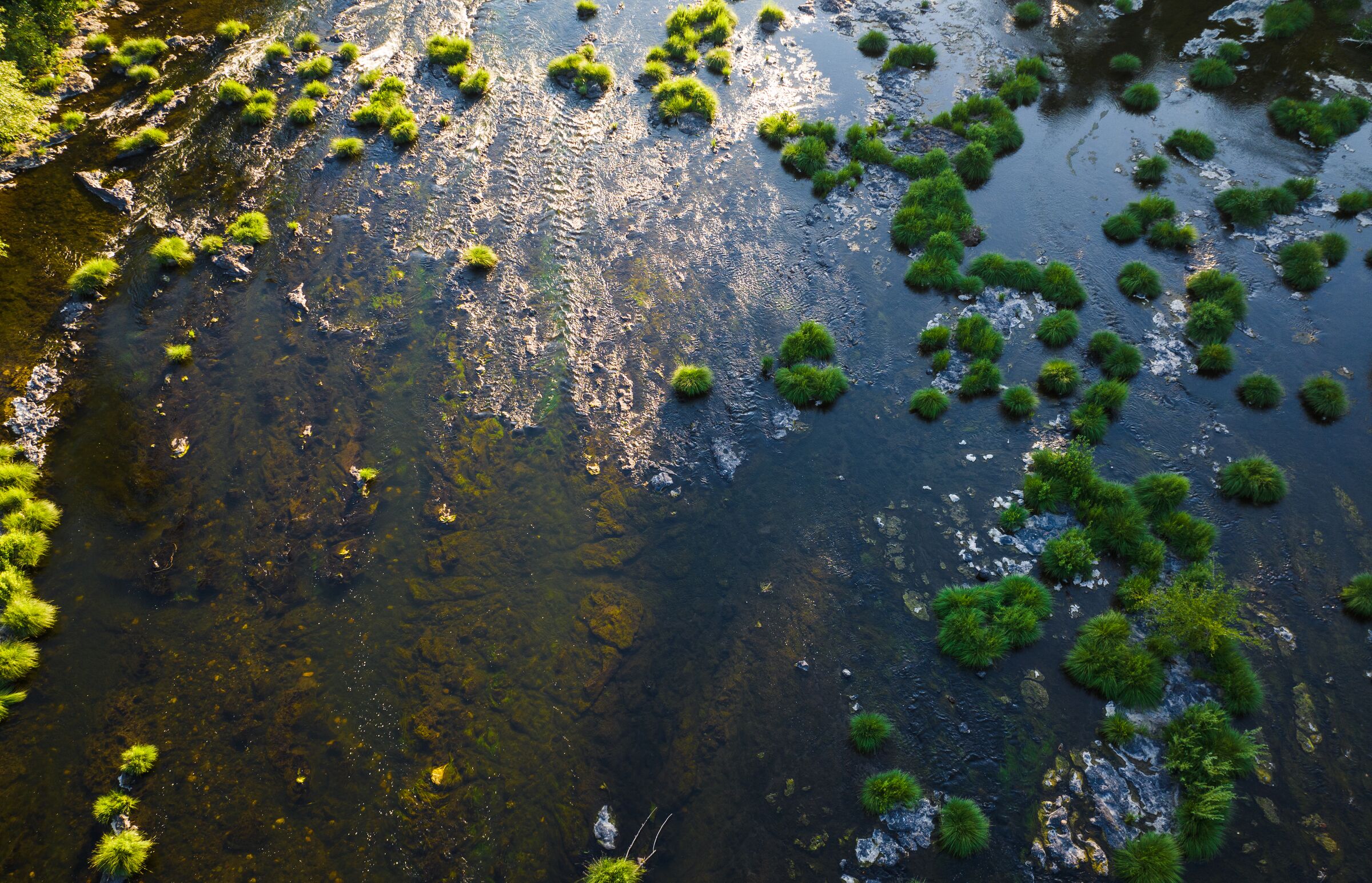 Grassy islets scattered across the shallow South Umpqua River at Stewart Park in July, seen from straight above