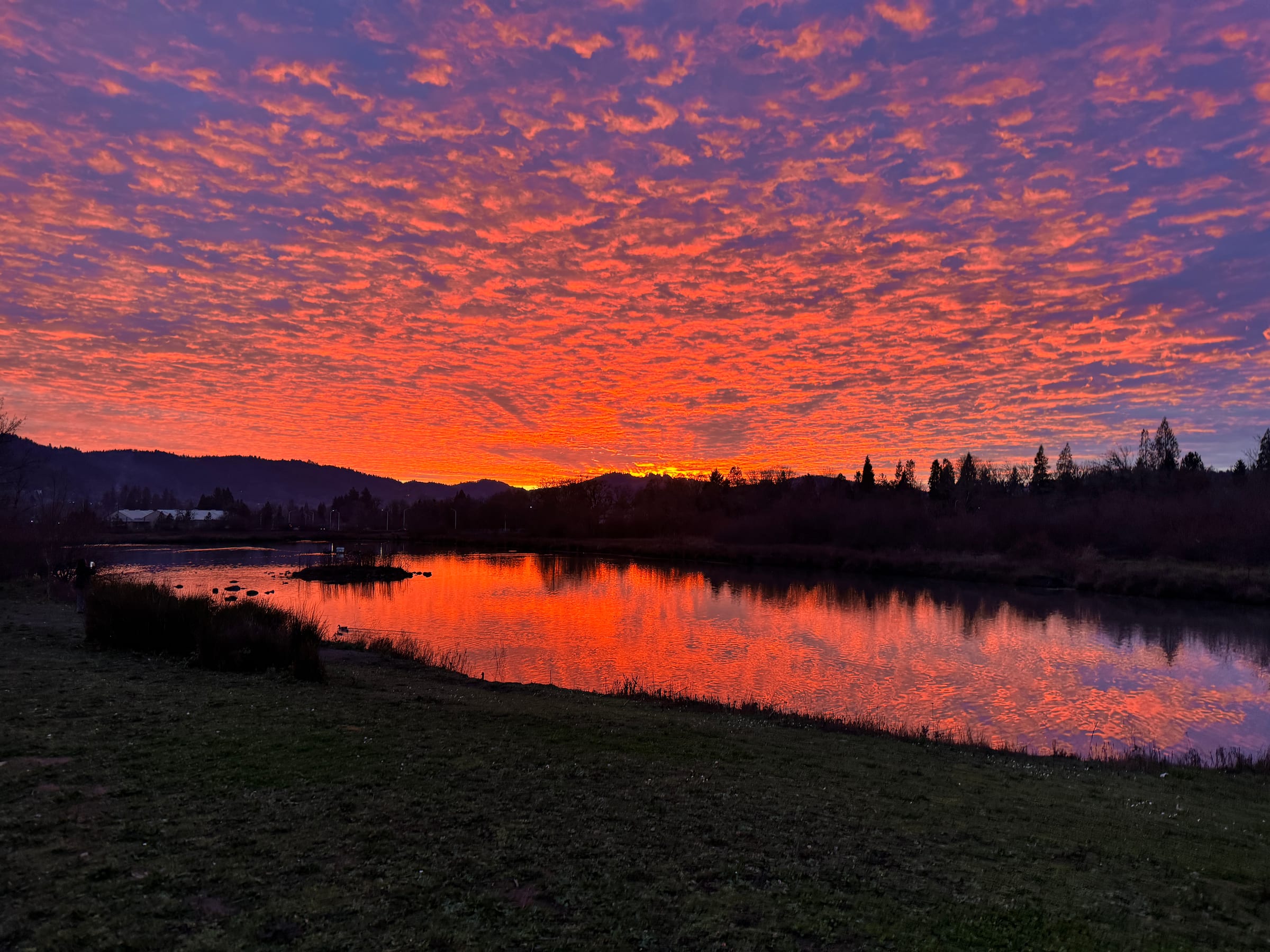 A red and orange January sunset reflected in the pond at Stewart Park, dark trees along the far shore