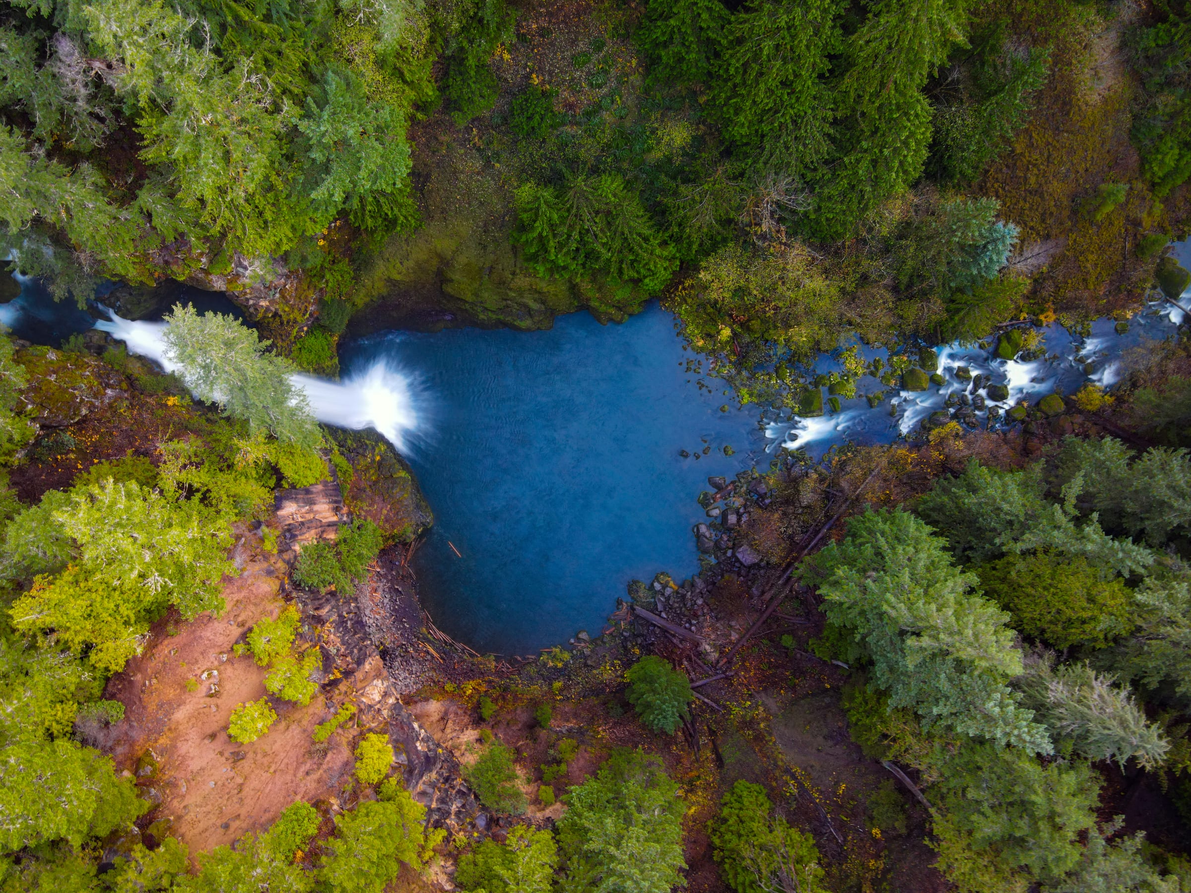 Toketee Falls and its blue pool from straight above in November, the North Umpqua River entering and leaving through the forest