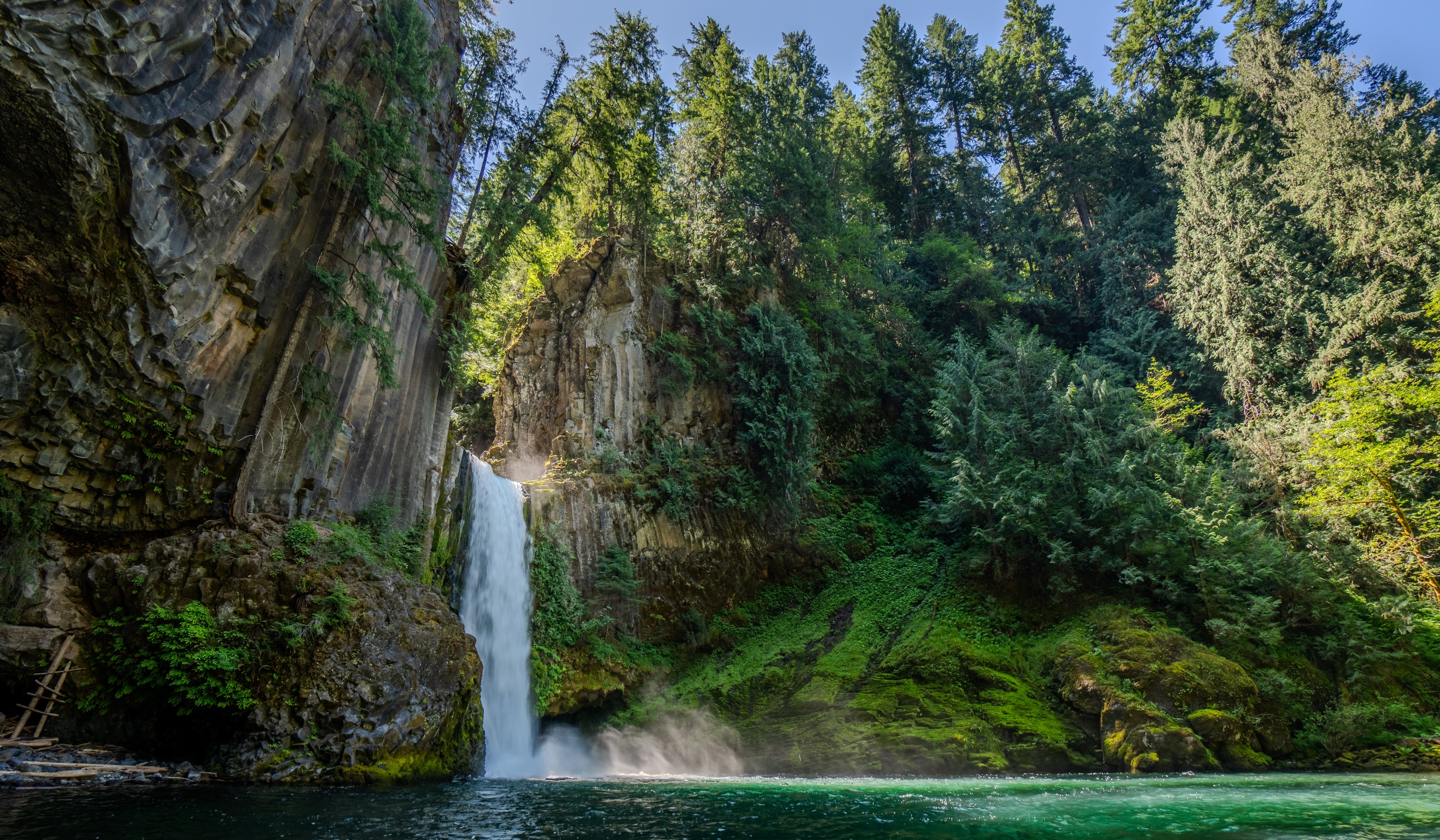 Toketee Falls dropping from a basalt cliff into a green pool in June, firs along the top of the gorge